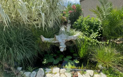 Aménagement Paysager sur Mesure